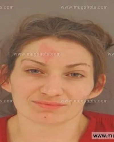 Booking photo of Heather Nicole Edwards, Anderson County, Nov 5, 2015