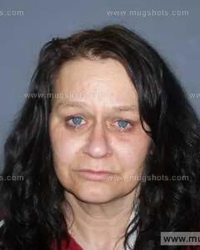 Booking photo of Elizabeth North, Anderson County, May 23, 2013