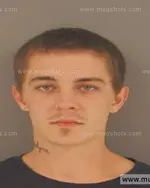 Booking photo of Sebastian Matthew Howe, Anderson County, Nov 2, 2015