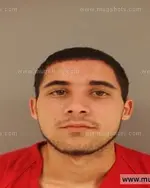 Booking photo of Garrett NMN Gielissen, Anderson County, Jun 22, 2014