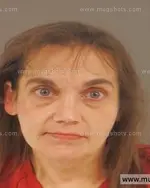 Booking photo of Nancy Lynn Kimball, Anderson County, Nov 20, 2015