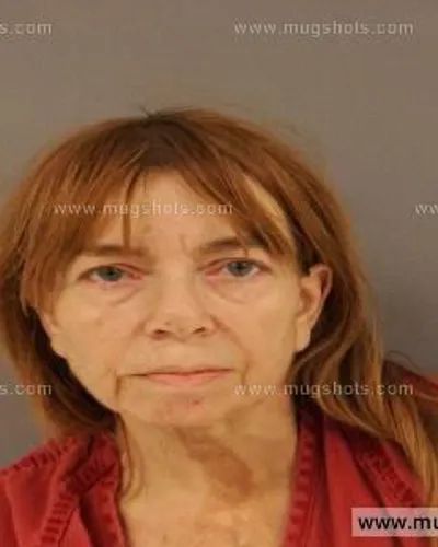 Booking photo of Janice Brewer, Anderson County, Jan 31, 2015