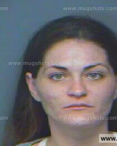 Booking photo of Alison Ellis, Anderson County, Nov 9, 2012