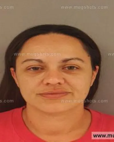 Booking photo of Amy Wilson, Anderson County, Sep 3, 2014