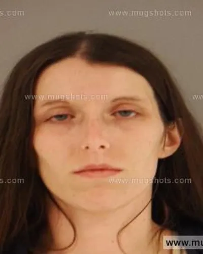 Booking photo of Casey Lee Daniels, Anderson County, Dec 13, 2014