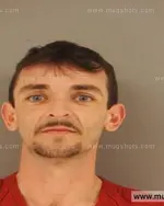 Booking photo of JAMES SCOTT LAWSON, Anderson County, Jan 21, 2015