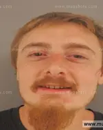 Booking photo of Skylar Alexander Patterson, Anderson County, Oct 31, 2015