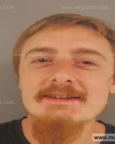 Booking photo of Skylar Alexander Patterson, Anderson County, Oct 31, 2015