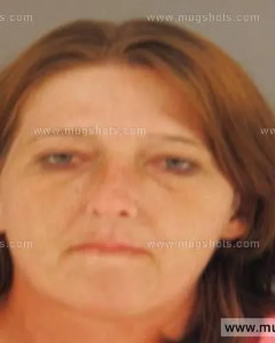 Booking photo of Billie Lucinda Lawson, Anderson County, Apr 14, 2015