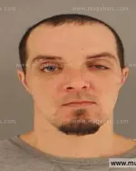 Booking photo of Bryen Paul Mcgough, Anderson County, Jan 17, 2015