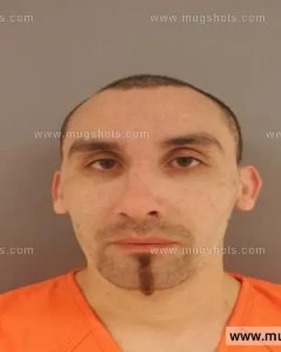 Booking photo of Bruce Hickman, Anderson County, Jan 13, 2015