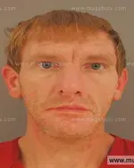 Booking photo of Austin David Reed, Anderson County, Aug 5, 2015