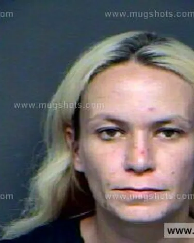 Booking photo of Terri Dunham, Anderson County, Sep 12, 2012