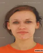 Booking photo of Kelly Mae Phillips, Anderson County, Apr 22, 2015