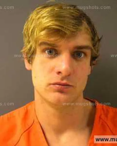 Booking photo of Desteryn Lynn Arnold, Anderson County, Dec 14, 2013