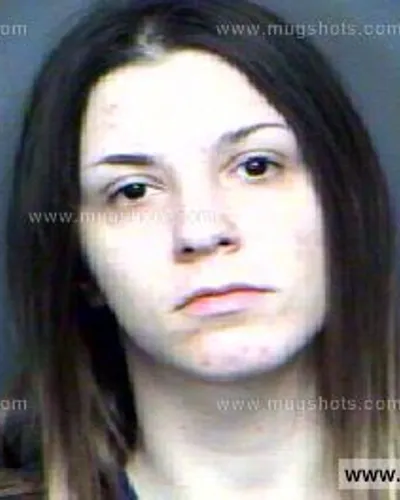 Booking photo of Sandy Danielle Phillips, Anderson County, Nov 16, 2011