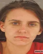 Booking photo of Chasity Leeann Lee, Anderson County, Nov 11, 2015