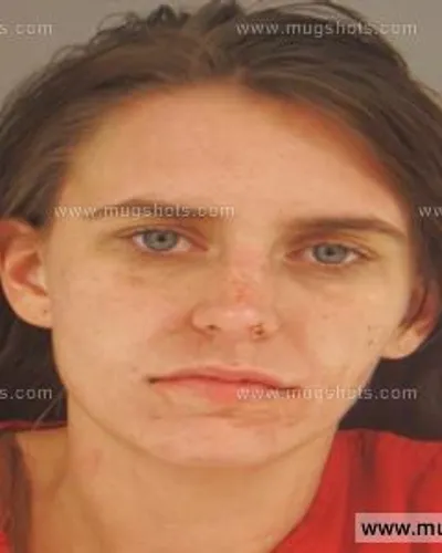 Booking photo of Chasity Lee, Anderson County, Nov 11, 2015