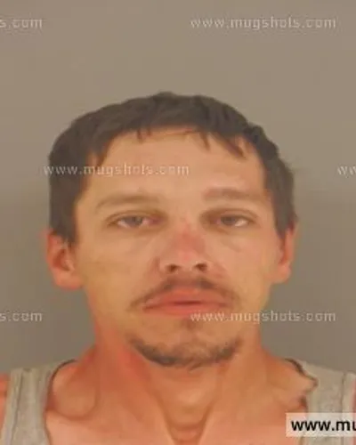 Booking photo of Dustin Fleenor, Anderson County, May 1, 2015