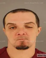 Booking photo of Bryen Paul Mcgough, Anderson County, Jan 10, 2015