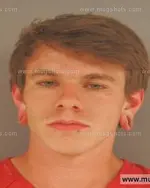 Booking photo of Austin Tyler Arnold, Anderson County, Apr 14, 2015