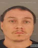 Booking photo of Howard Eugene Robertson, Anderson County, Nov 24, 2015