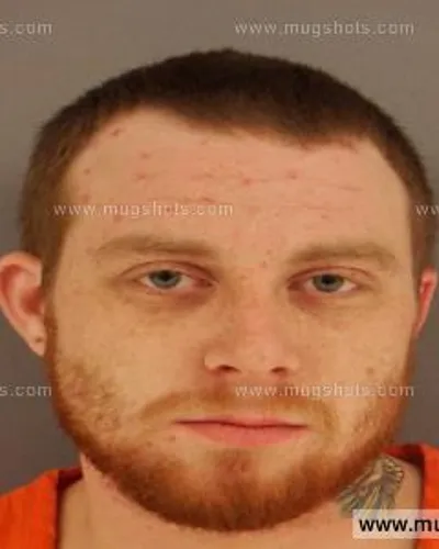 Booking photo of Frankie Jinks, Anderson County, Feb 10, 2015