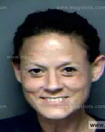 Booking photo of Sheila Kaye Jones, Anderson County, Sep 27, 2012