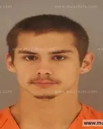 Booking photo of Anthony James Phillips, Anderson County, Oct 15, 2014