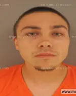 Booking photo of Dakota Tyler Rittenberry, Anderson County, May 24, 2015