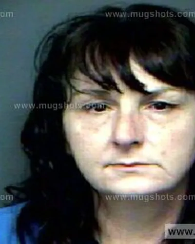 Booking photo of Lisa Irwin, Anderson County, Dec 4, 2012