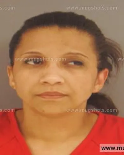 Booking photo of Melissa Lopez, Anderson County, Apr 17, 2015