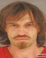 Booking photo of Gary Alonza Brown, Anderson County, May 18, 2015