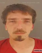 Booking photo of Ryan Andrew Morris, Anderson County, Nov 22, 2015