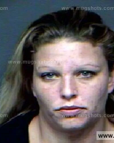 Booking photo of Patricia Flanagan, Anderson County, Sep 22, 2012