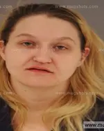 Booking photo of Heather Nicole Kohler, Anderson County, Jan 10, 2015