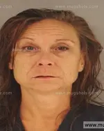 Booking photo of APRIL DAWN COLLINS, Anderson County, Sep 3, 2014