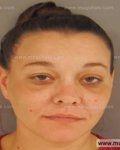 Booking photo of Terra Foster, Anderson County, Aug 26, 2015