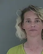 Booking photo of ATOSHA L FRITZ, Anderson County, Mar 31, 2023