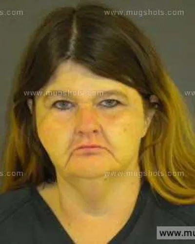 Booking photo of Tammy Chapman, Anderson County, Feb 9, 2014