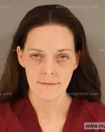 Booking photo of Dawn Renee Dison, Anderson County, Mar 19, 2015