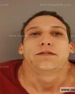 Booking photo of Aaron Eugene Seiber, Anderson County, Jul 7, 2014