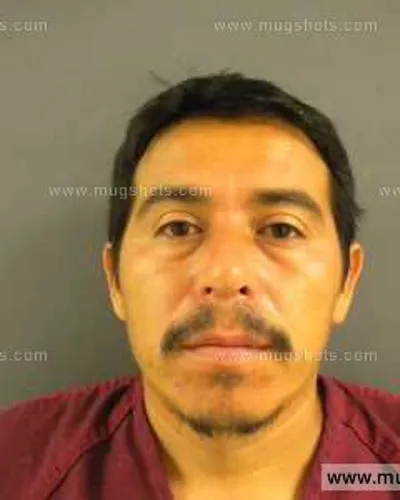 Booking photo of Armando N Hernandez-Cornejo, Anderson County, Aug 31, 2013