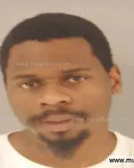 Booking photo of MICHAEL PAUL WEST, Anderson County, Feb 28, 2015