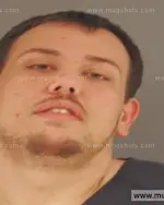 Booking photo of Jamen Lee Cowan, Anderson County, Oct 29, 2015