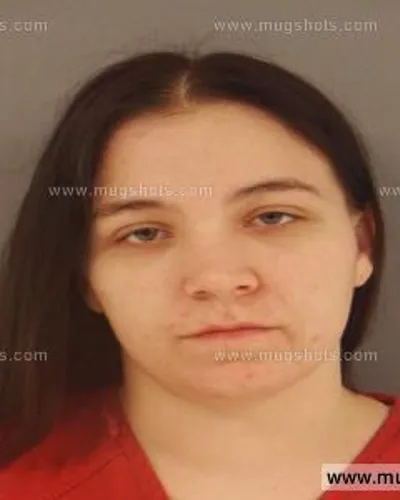 Booking photo of Brittany Vanzuiden, Anderson County, Feb 24, 2015