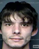 Booking photo of NICKY E BOGGS, Anderson County, Nov 2, 2012