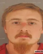 Booking photo of Skylar Alexander Patterson, Anderson County, Nov 7, 2015