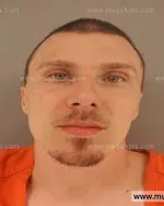 Booking photo of ROBERT EDWARD LEE WALKER JR, Anderson County, Mar 11, 2014