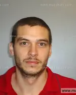 Booking photo of RANDY DALE CARROLL, Anderson County, Mar 16, 2013